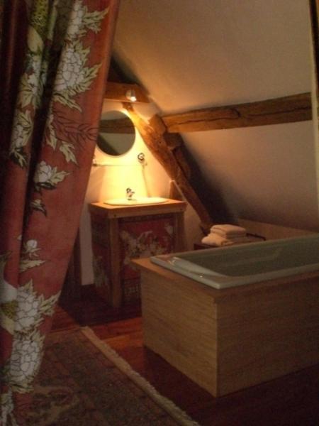 La Touche Bed and Breakfast Menetou-sur-Nahon Værelse billede