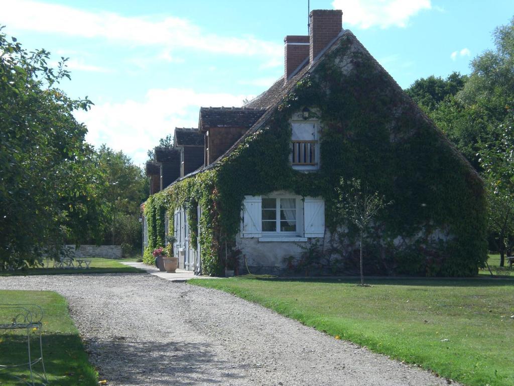 La Touche Bed and Breakfast Menetou-sur-Nahon Eksteriør billede