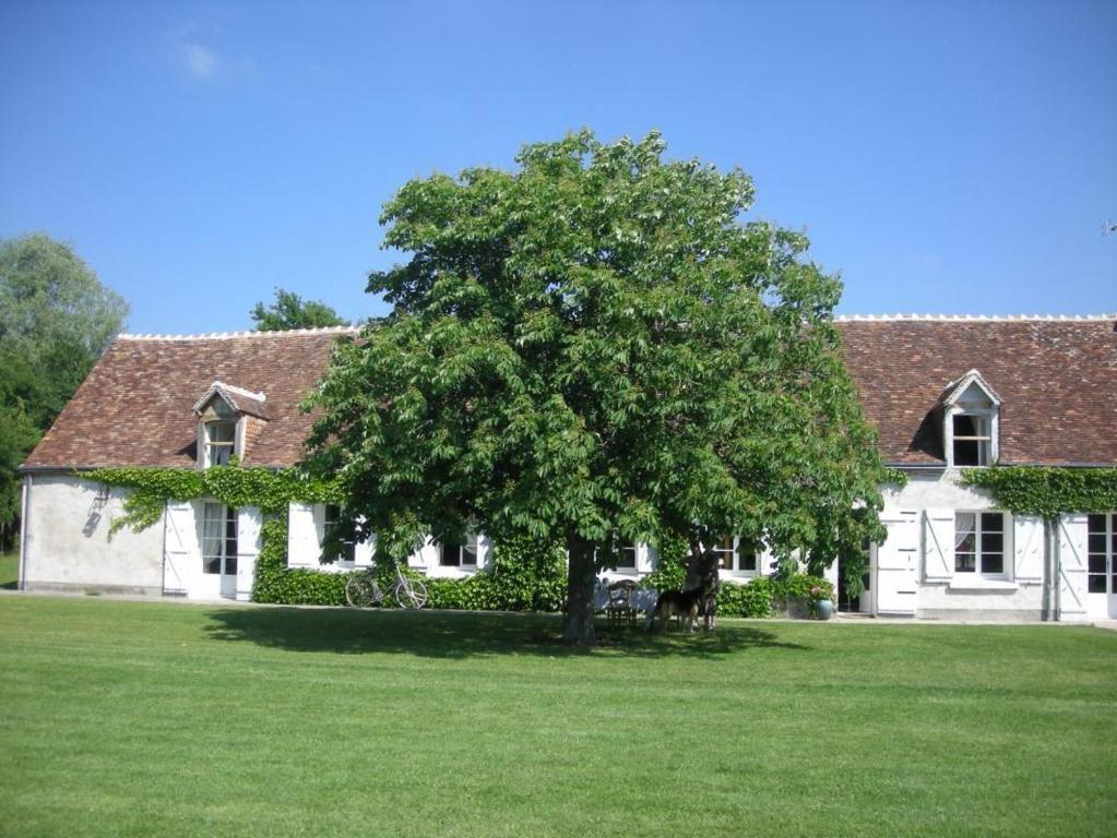 La Touche Bed and Breakfast Menetou-sur-Nahon Eksteriør billede